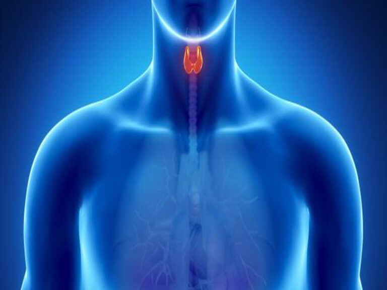 تحليل وفحوصات الغدة الدرقية بمعامل الدكتور محمد خضر بكفر الشيخ